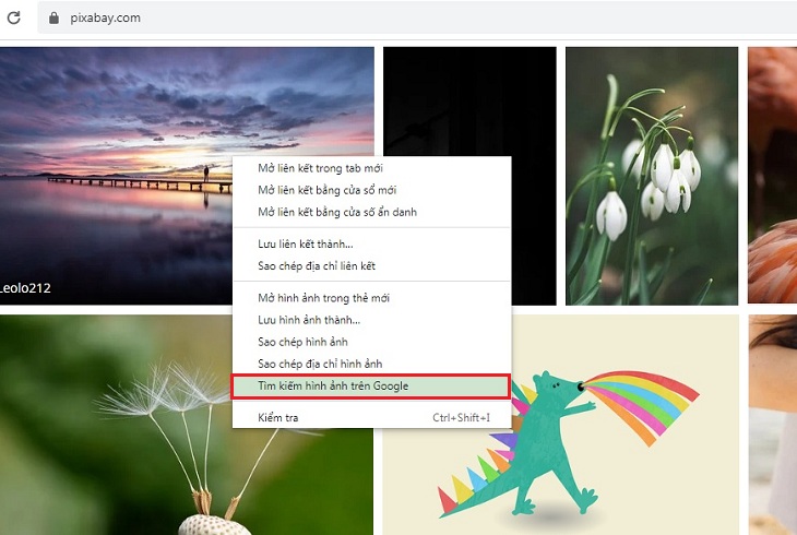 Tìm kiếm Hình ảnh trên Google